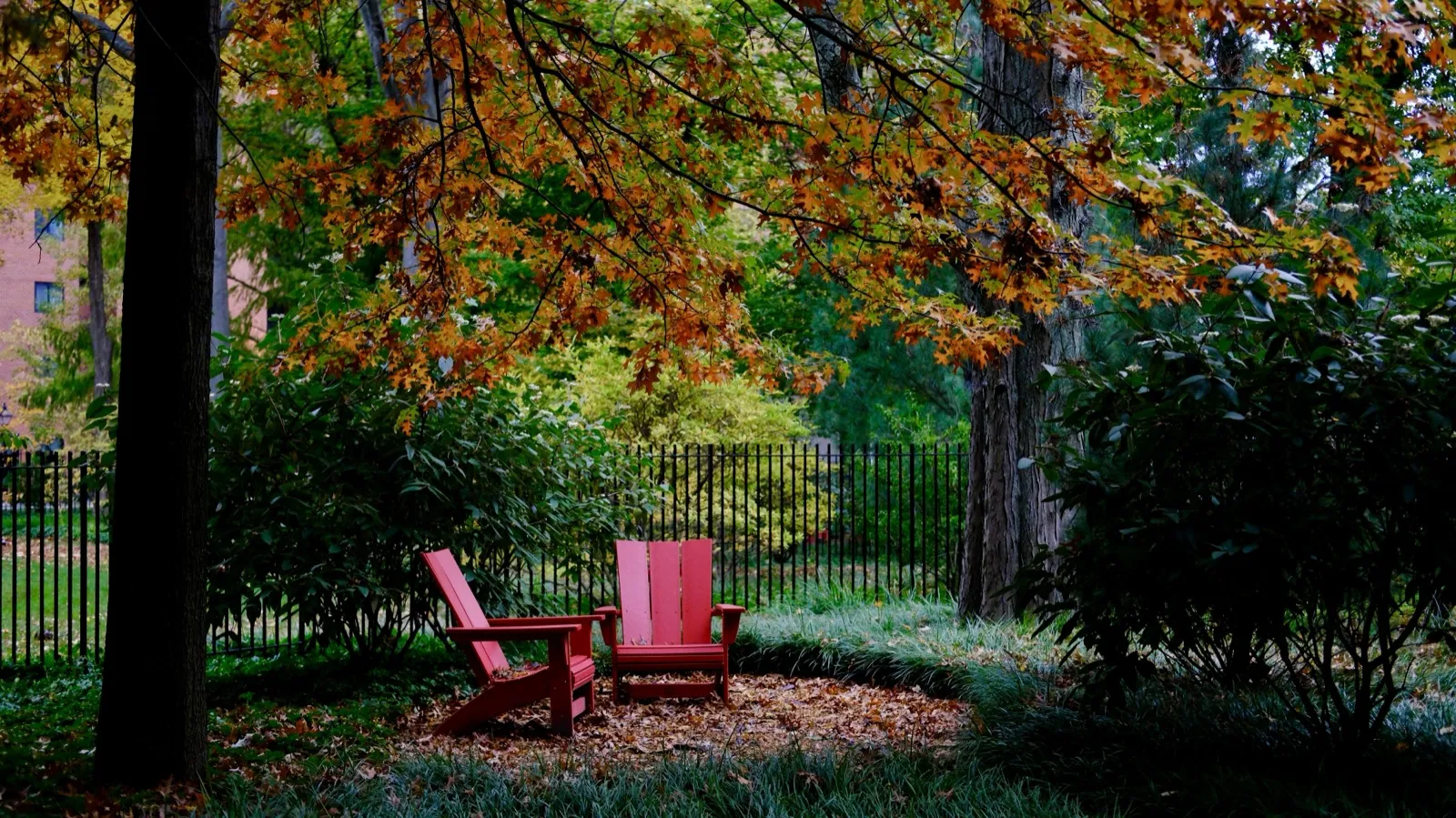Two red Adirondack chairs in an autumn garden